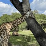 爱思助手iphone版下载:轻松管理你的iPhone设备,尽享无限乐趣! 1uobxu7vt