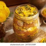 爱一帆在线电视剧免费观看:繁花绽放的浪漫故事 52t2o71