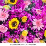 爱人影院 巧巧:探索爱情与电影交织的浪漫世界 feyug6f