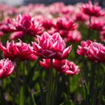 爱影剧网:探索影视世界的无限魅力与精彩内容 i49ch2f