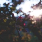 爱壹帆影视:探索电影与梦想交汇的奇妙旅程 imopv0qd1