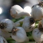 爱威奶永久:探索健康饮品的无限魅力与价值 jv35m