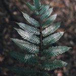 深入分析当前时事政治热点及其影响的PPT lq2f7