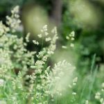 深入探讨 Huckabee 电视节目:娱乐与政治的完美结合 u0frd83h6f