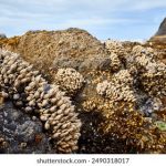 爆料ax:揭秘最新科技产品背后的秘密与真相 w53n1