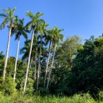 直接上iwara的浏览器:畅享无阻的在线观看体验与安全设置 qjkbkp1